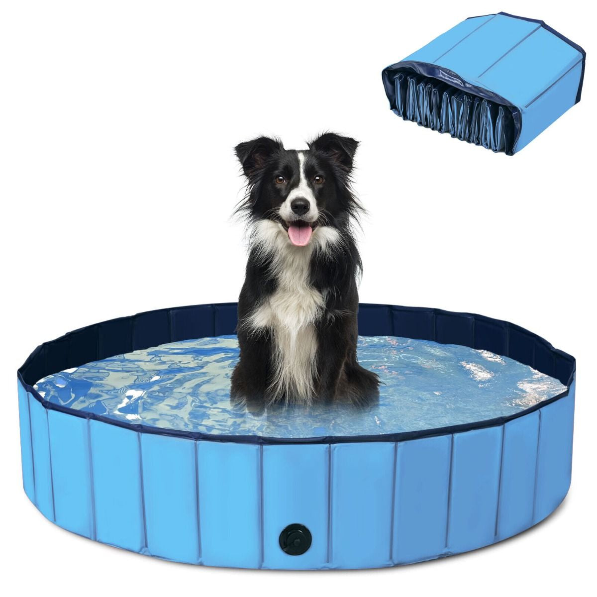 Foldable Pet Swimming Pool with Rotatable Drain Valve