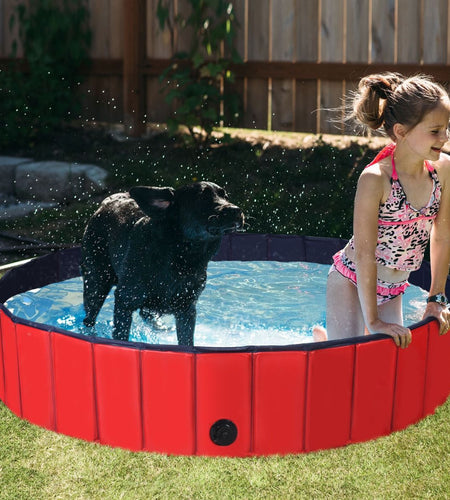 Foldable Pet Swimming Pool with Rotatable Drain Valve